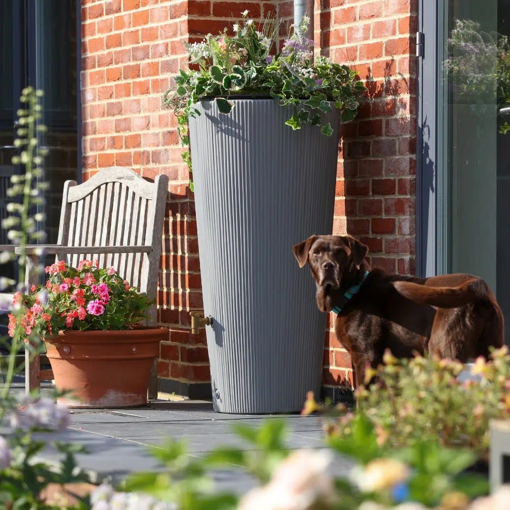Grey water butt with integrated planter (Crocus/PA)