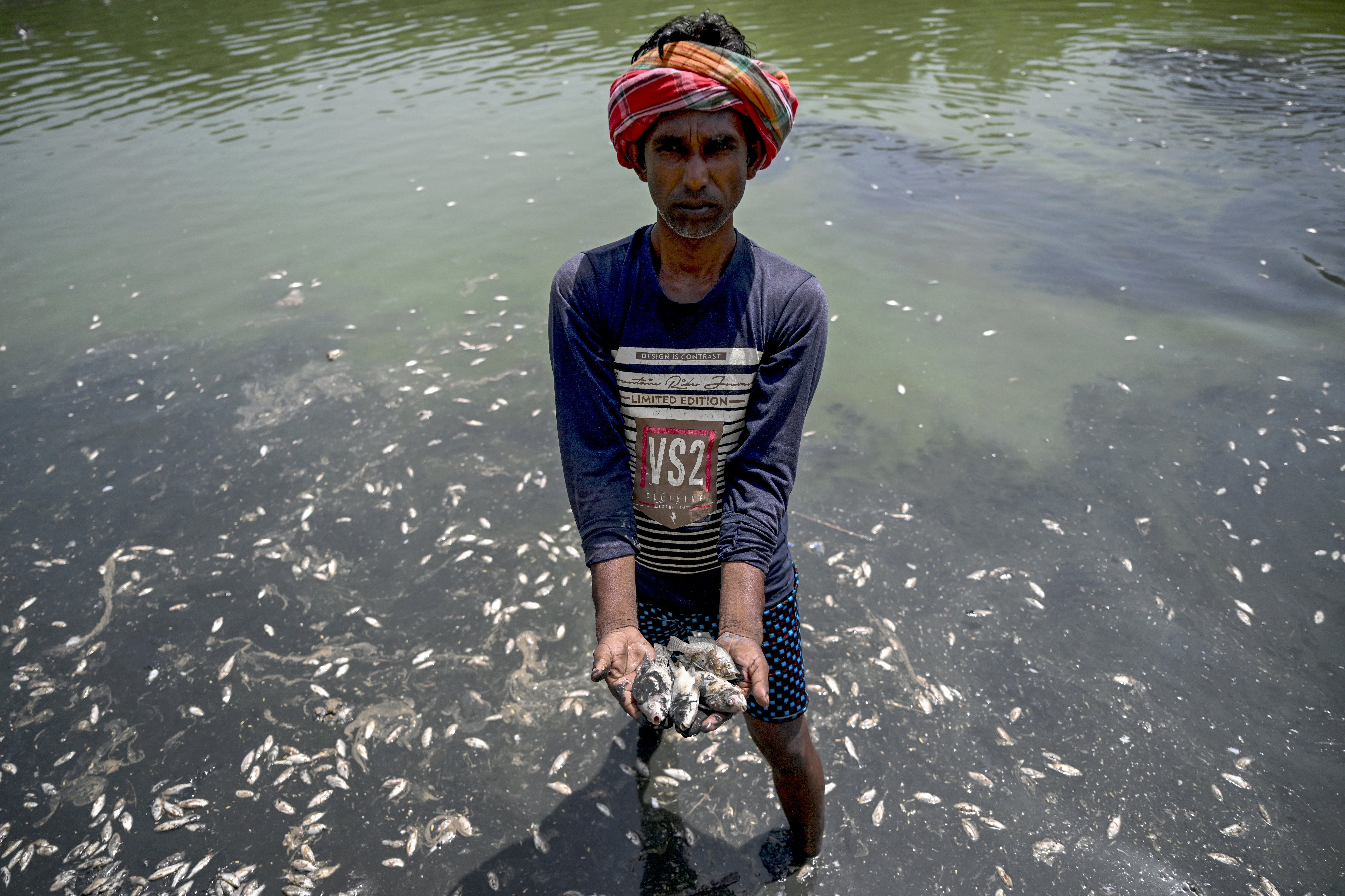 A worker shows dead fish at Sanjay Lake, which partially dried up amid a heatwave in Delhi