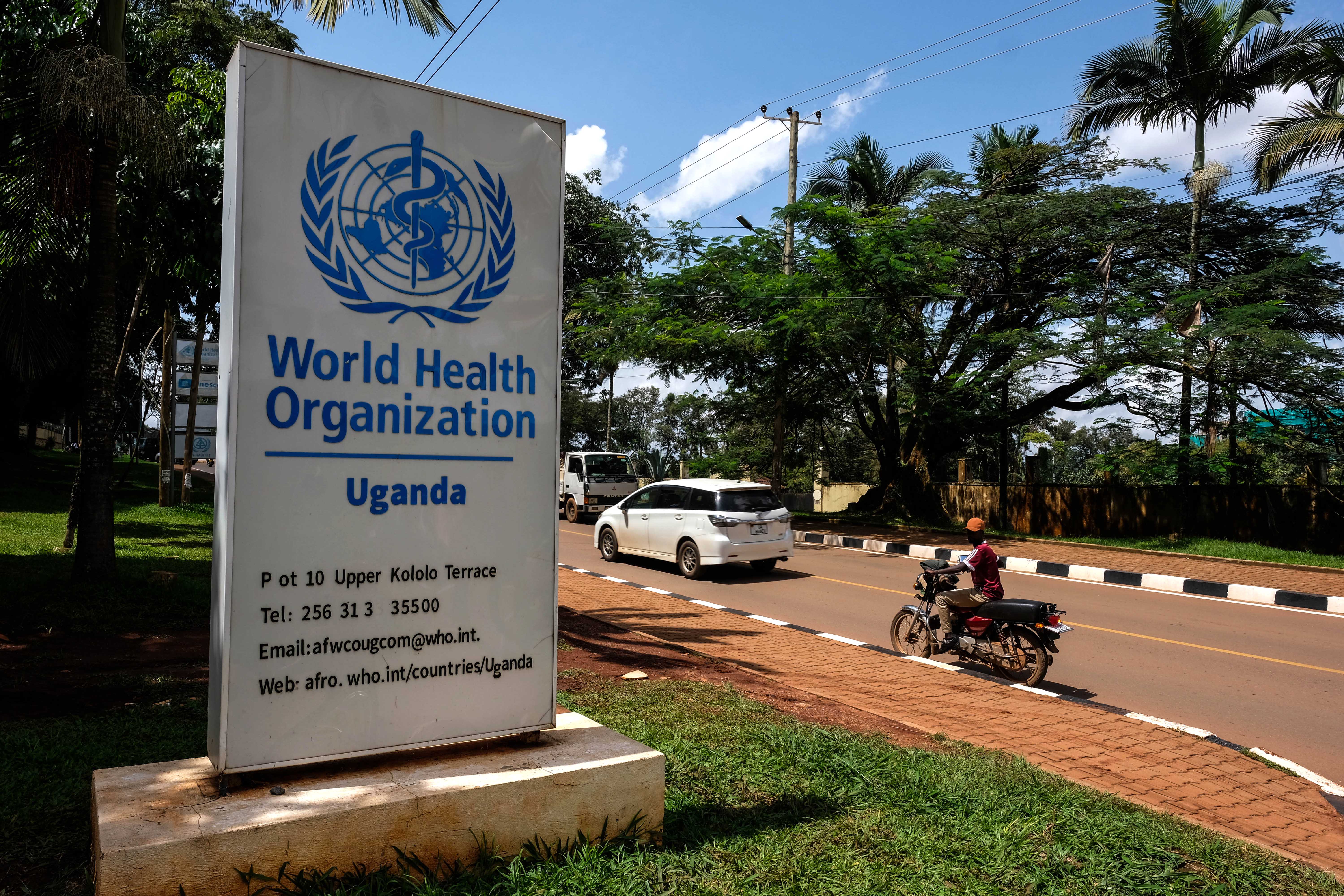 NIAID researchers are prevented from directly speaking to the WHO on conference calls (Getty)