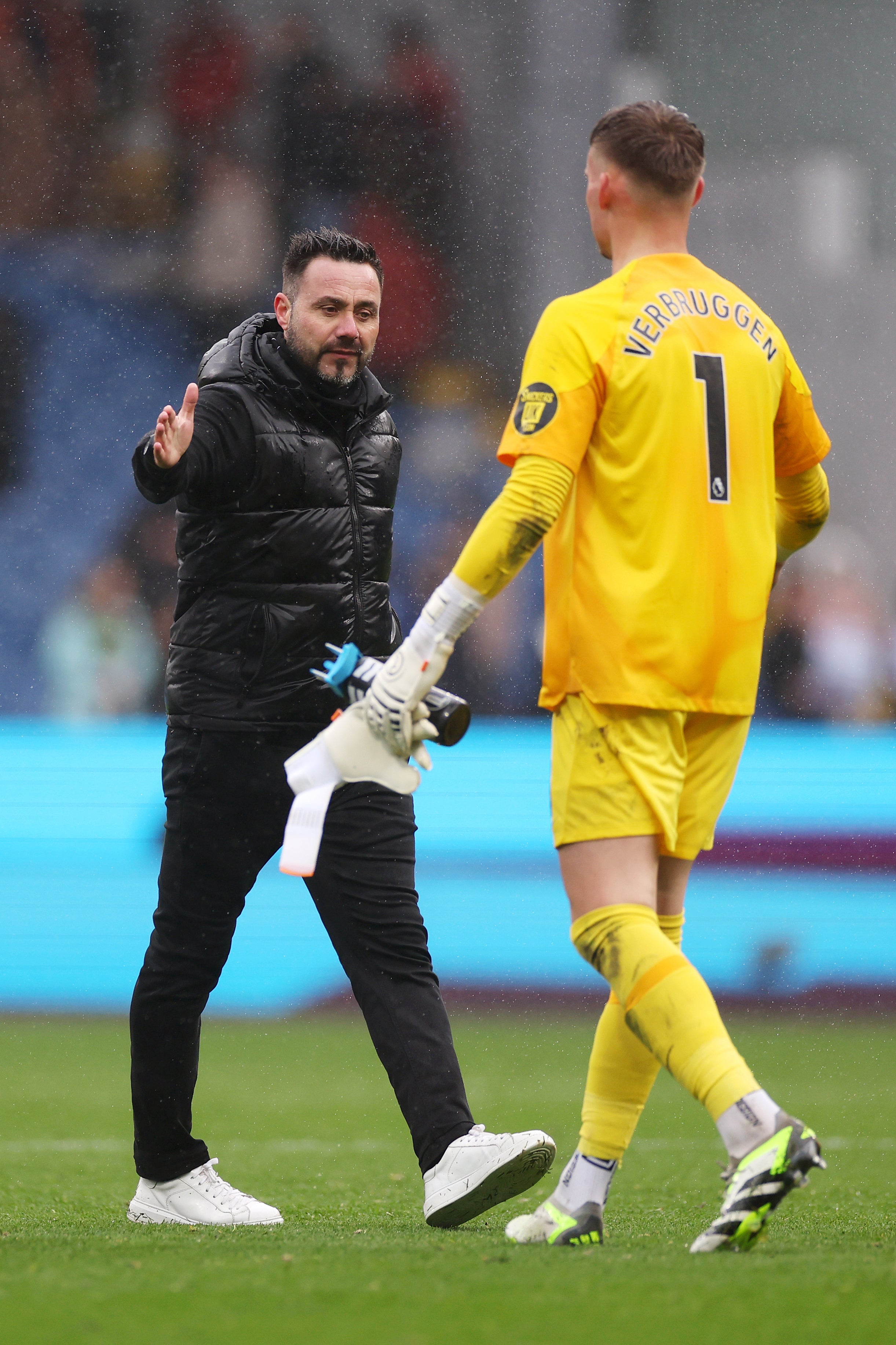 Roberto De Zerbi knows Bart Vergbruggen well from his Brighton days