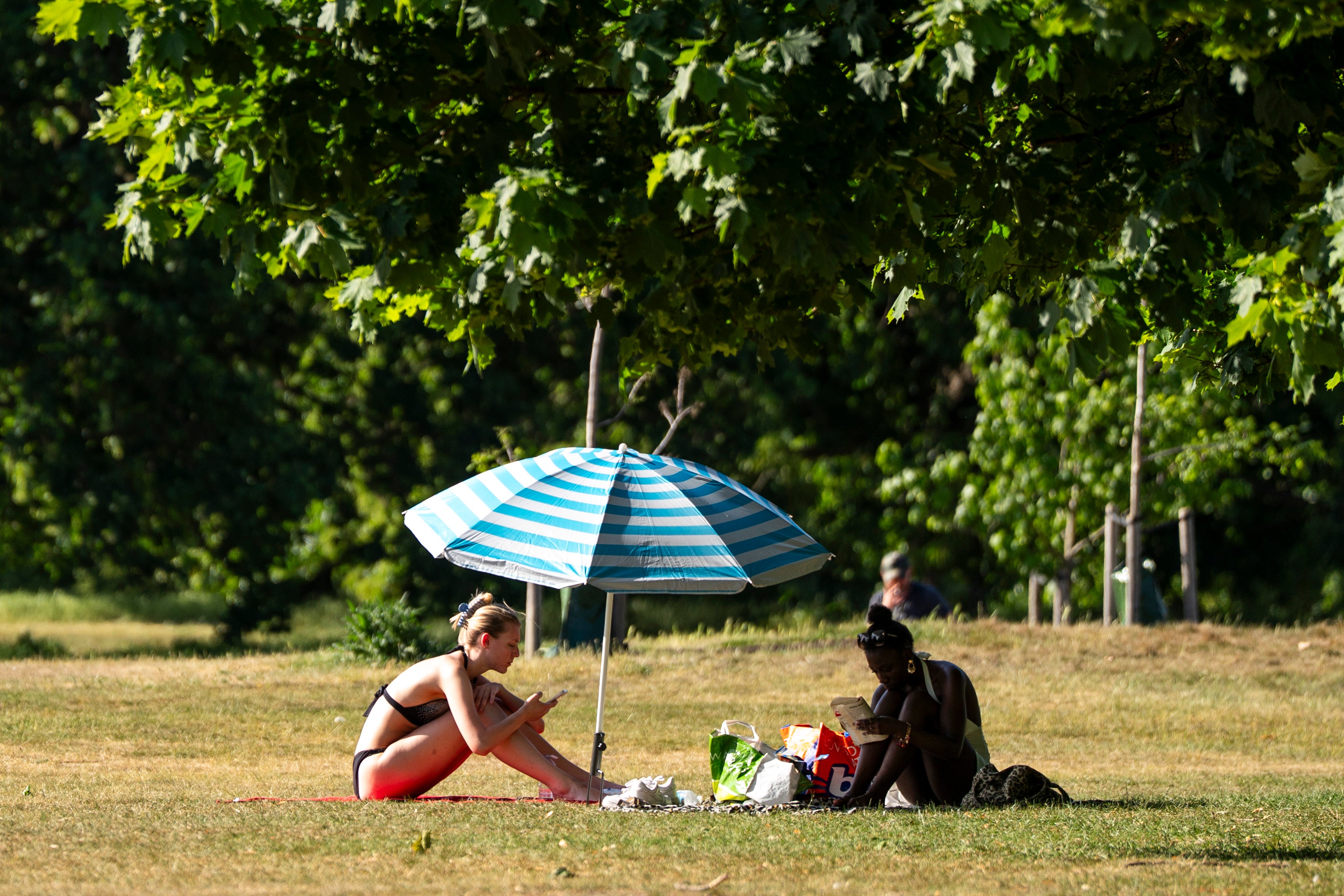 People read beneath a parasol during the hot weather in Hyde Park, London