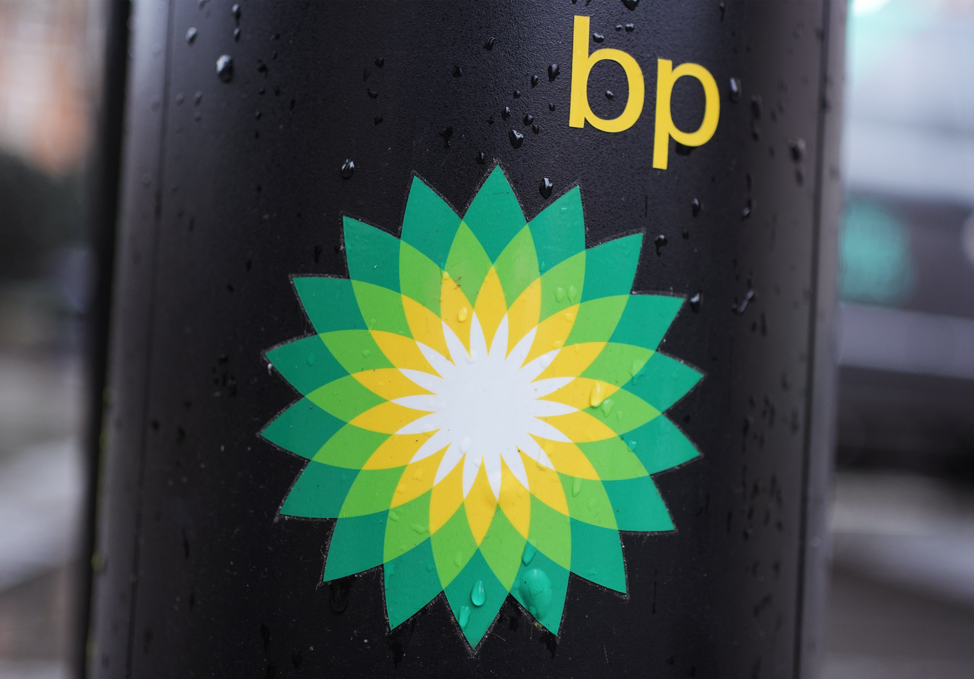 Mr Manifold was hired by BP last year (Yui Mok/PA) (PA Archive)