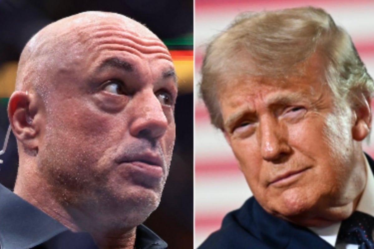 Joe Rogan mocks Trump’s DOJ for blocking IRS audits of president and his family: ‘That is so crazy’ – UK Times Joe Rogan mocks Trump’s DOJ for blocking IRS audits of president and his family: ‘That is so crazy’ – UK Times