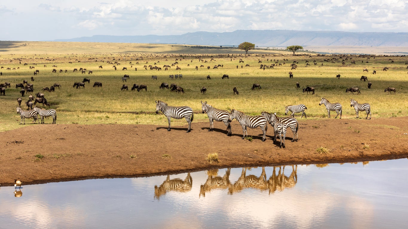Look out for the Big Five in the Maasai Mara