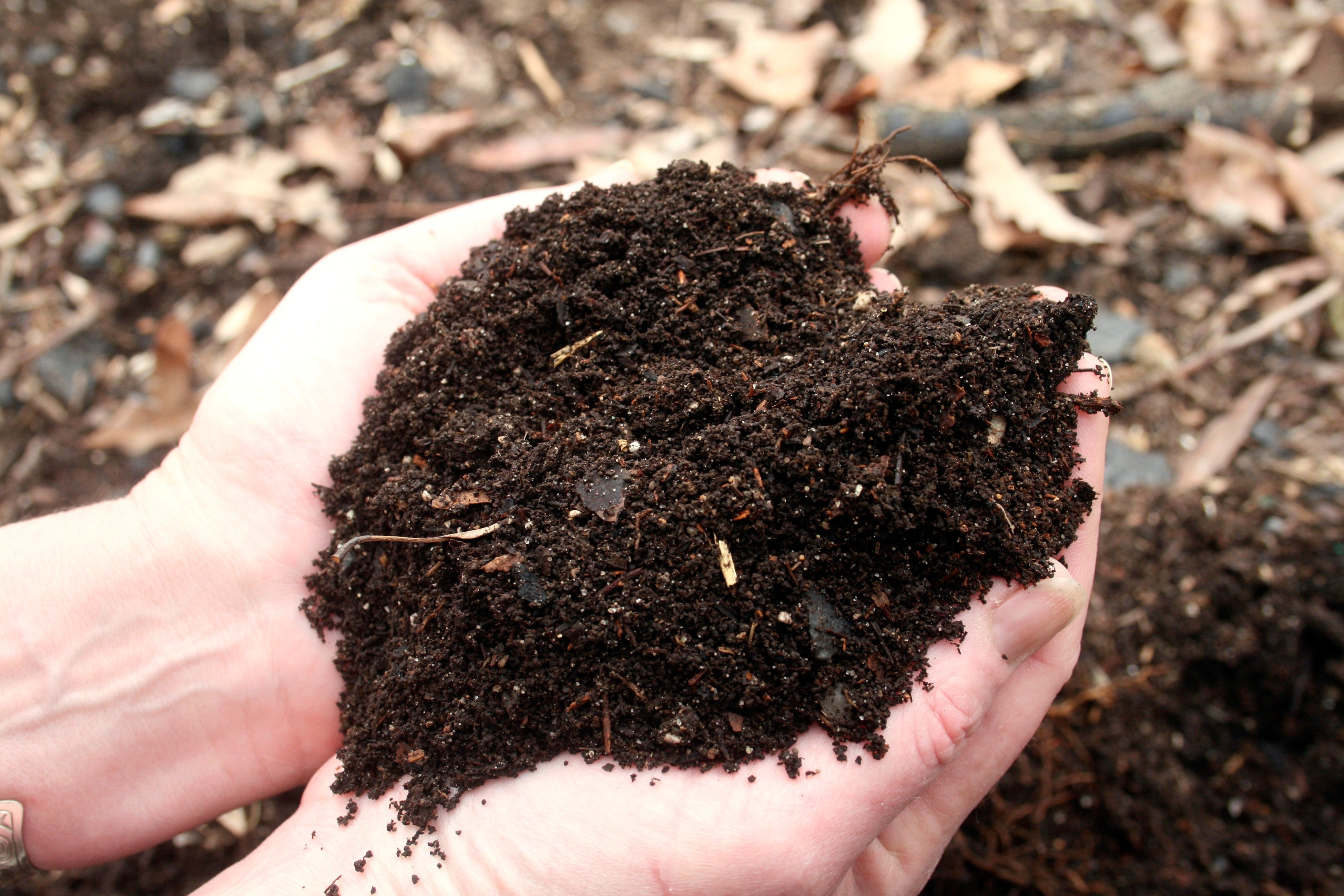Compost made from decomposed green kitchen scraps, yard litter and garden waste (AP)