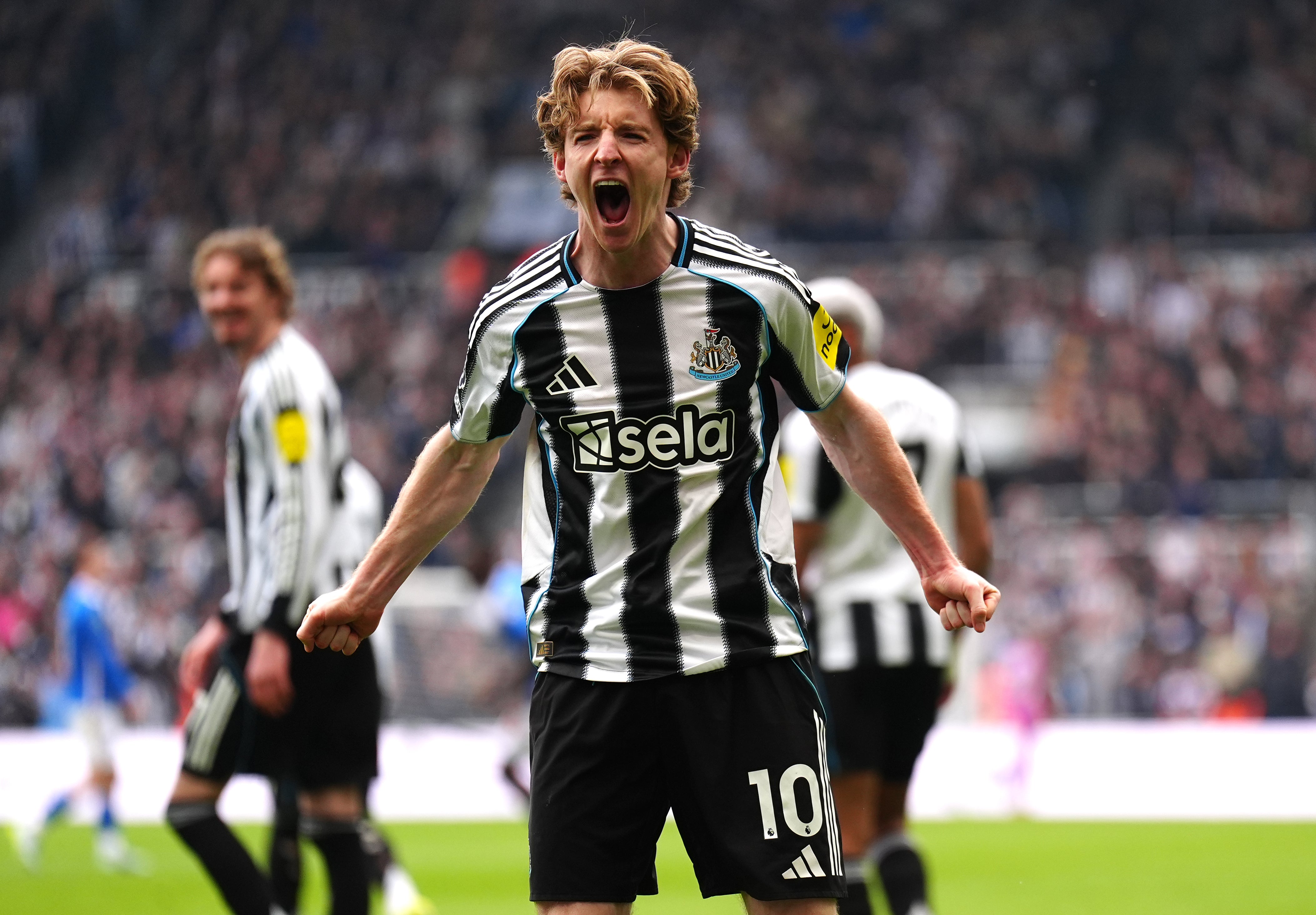 Anthony Gordon looks set to leave Newcastle this summer