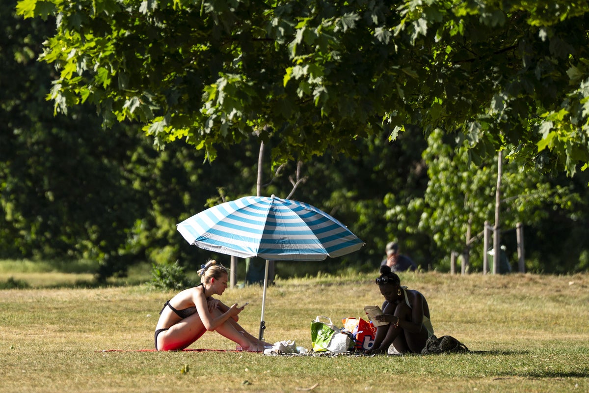 Weather map: Where in the UK will see highest temperatures this weekend – UK Times Weather map: Where in the UK will see highest temperatures this weekend – UK Times