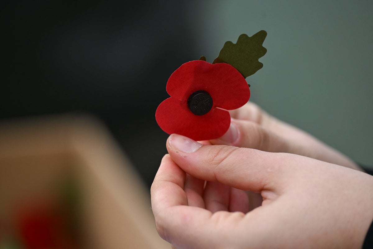 Bereaved armed forces families granted free rail travel for Remembrance weekend