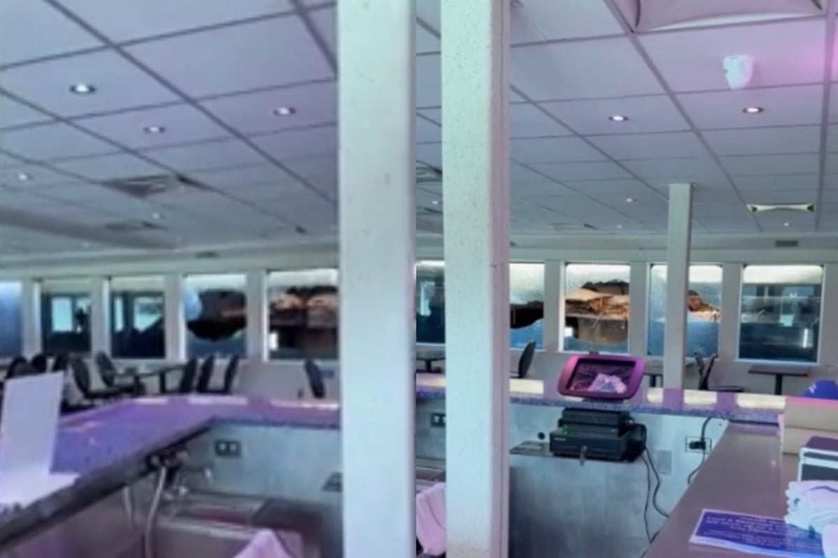 Passengers knocked off their feet and windows shattered after ferry to Alcatraz slams into pier – UK Times Passengers knocked off their feet and windows shattered after ferry to Alcatraz slams into pier – UK Times