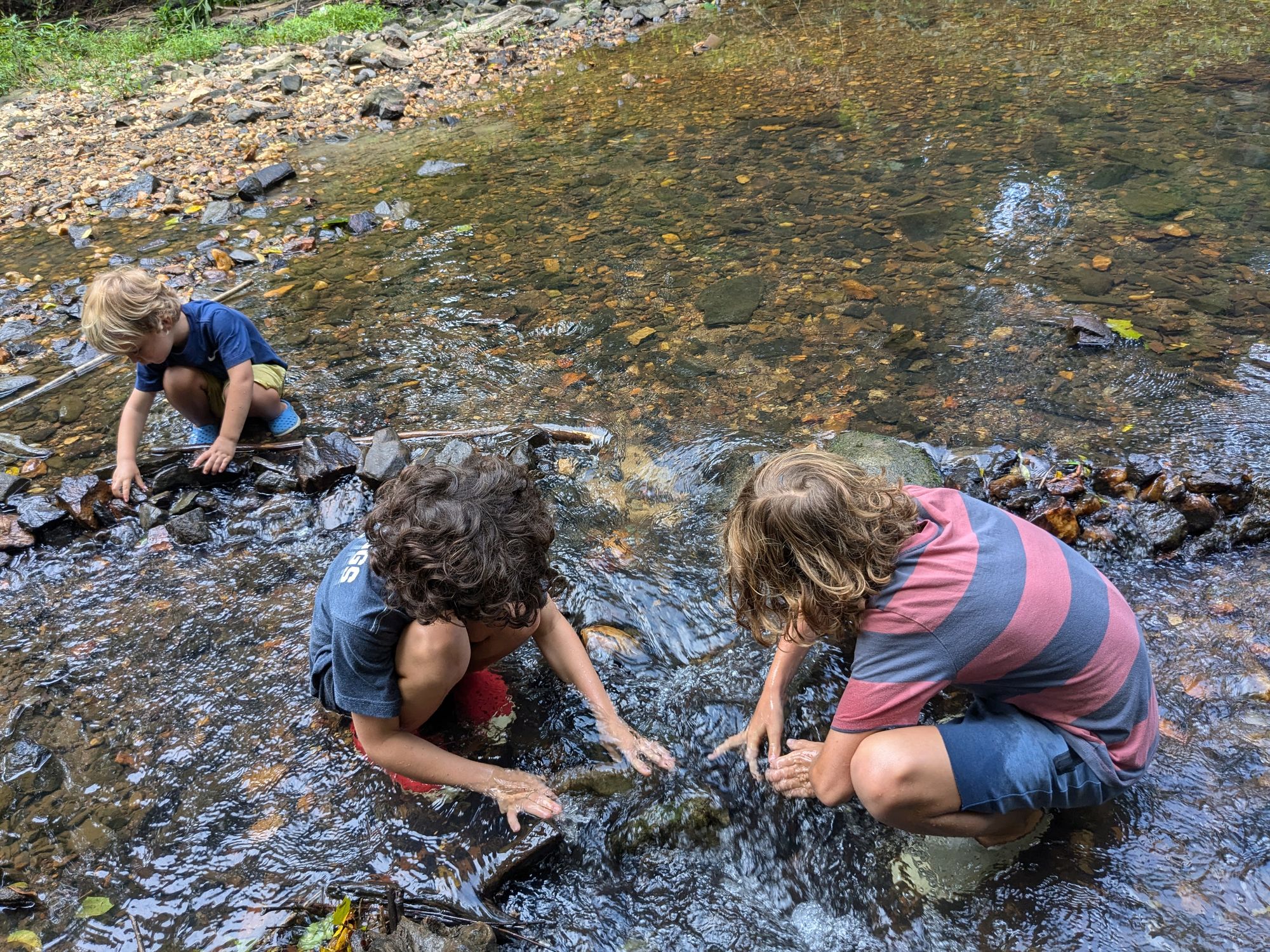 Dickson, 44, knew she wanted to take a low-screen approach before her kids were born and resisted the urge to stick them in front of the TV when she needed to take a shower. Now she says her boys love being outdoors and use their imaginations for entertainment