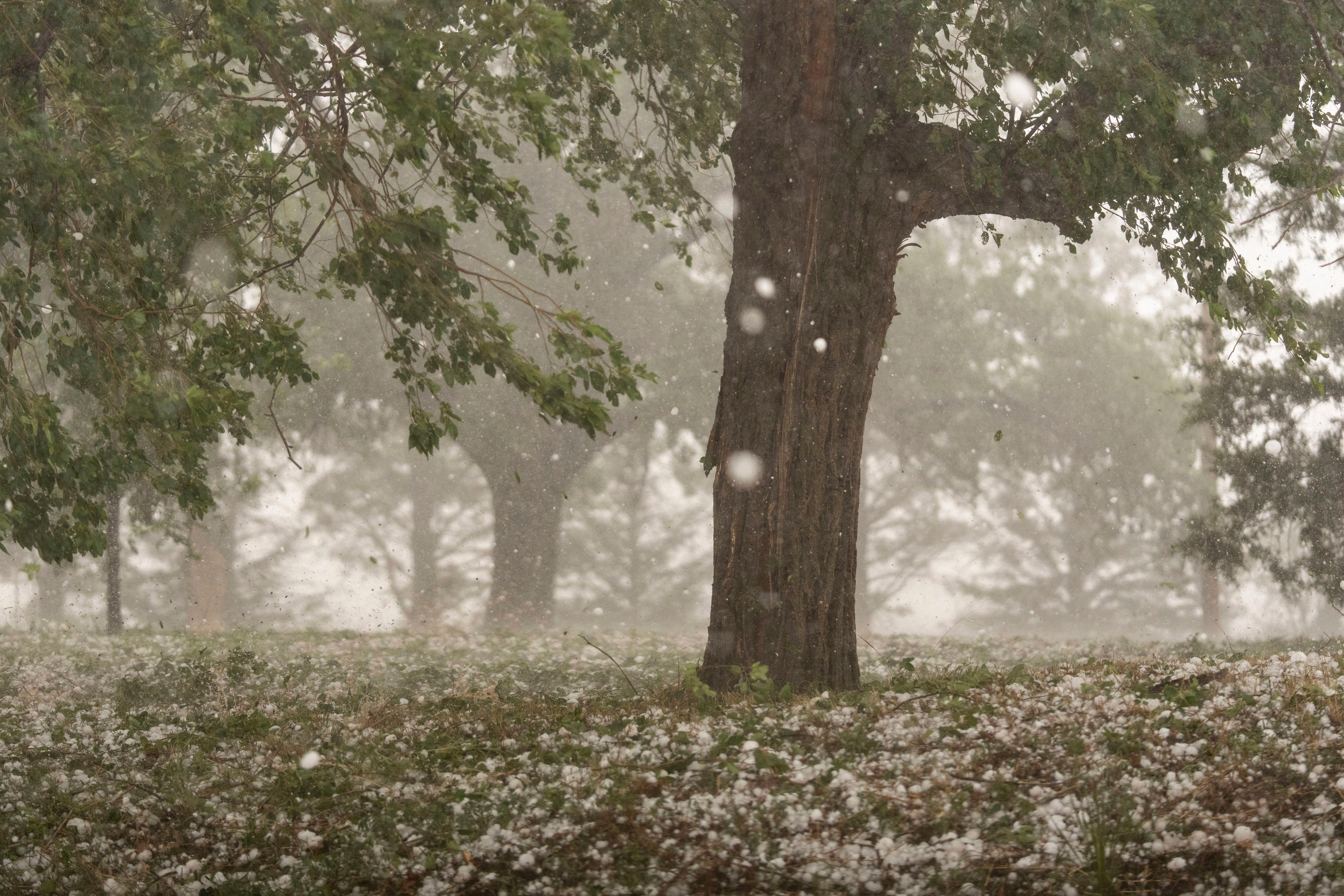 Climate Hailstone Changes