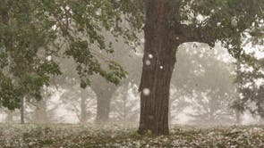Climate Hailstone Changes