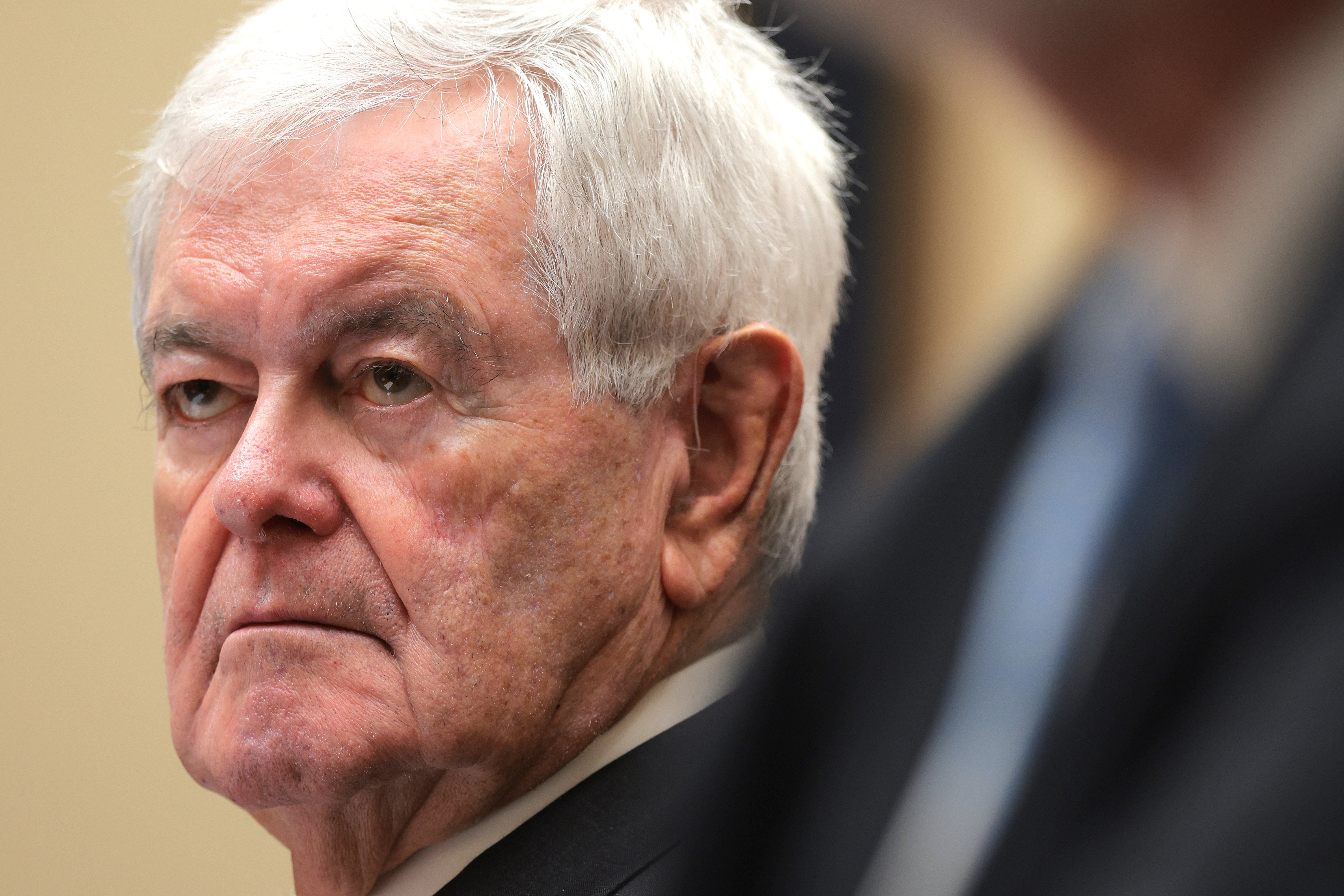 Hegseth said 83-year-old former House Speaker Newt Gingrich was one of America’s ‘best minds,’ who would be leading Project Meridian with Elon Musk and Palmer Luckey