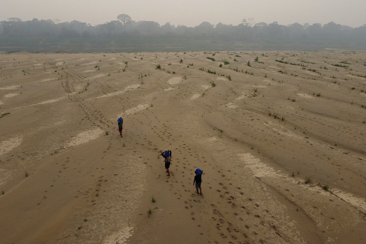 Think it's hot now? The next five years will smash records, UN says