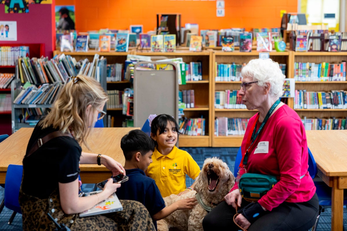 The Minneapolis immigration crackdown ended months ago. For these little kids, trauma remains – UK Times The Minneapolis immigration crackdown ended months ago. For these little kids, trauma remains – UK Times