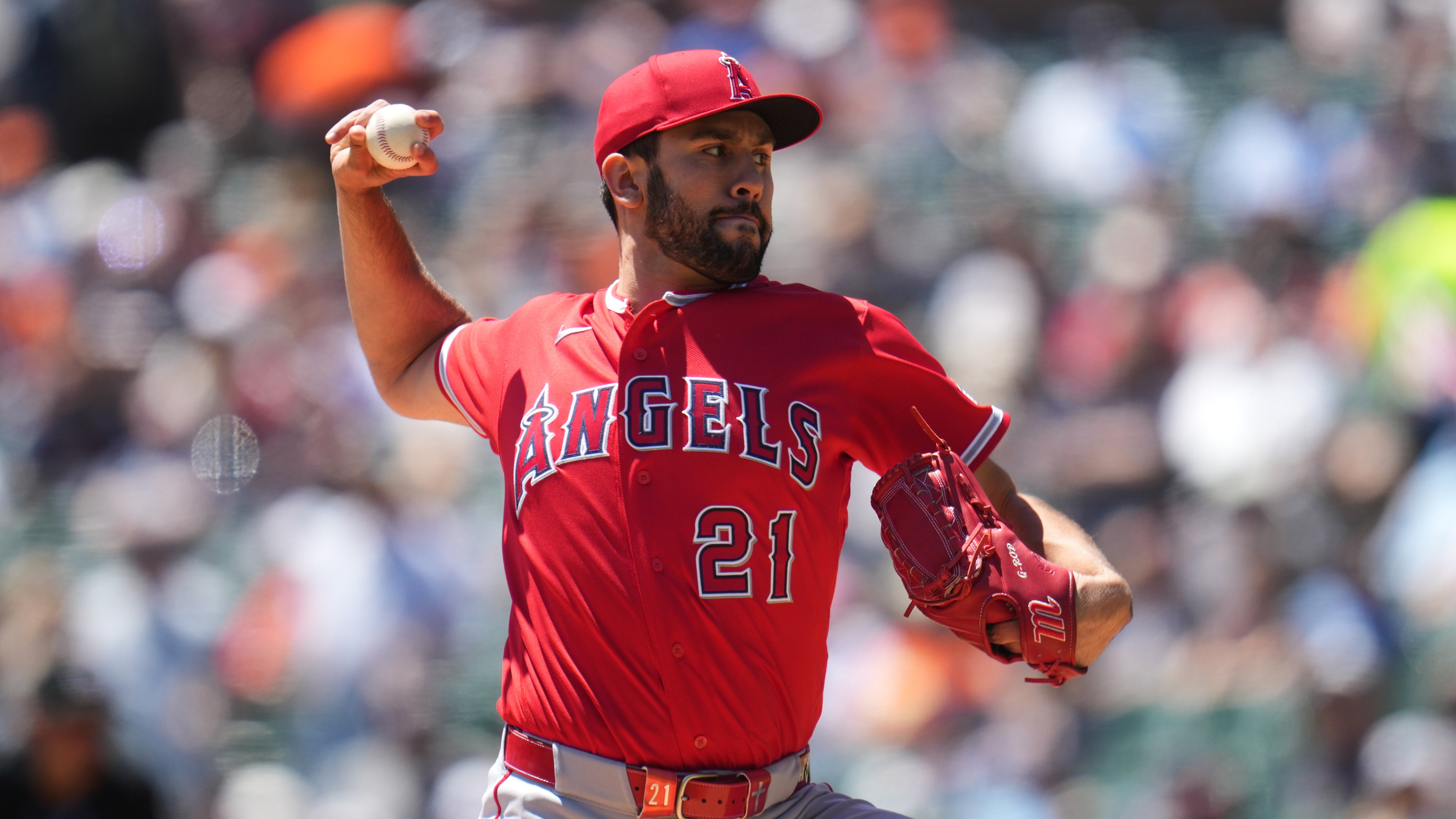 ANGELINOS TIGRES
