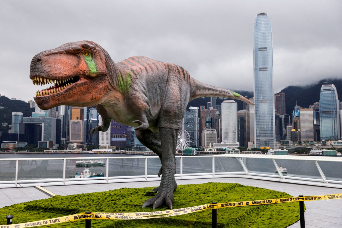 https://static.independent.co.uk/2026/05/29/11/2026-05-29T080029Z_1090586685_RC26MU96NJS4_RTRMADP_3_SCIENCE-DINOSAURS.JPG?width=1200&height=800&crop=1200:800