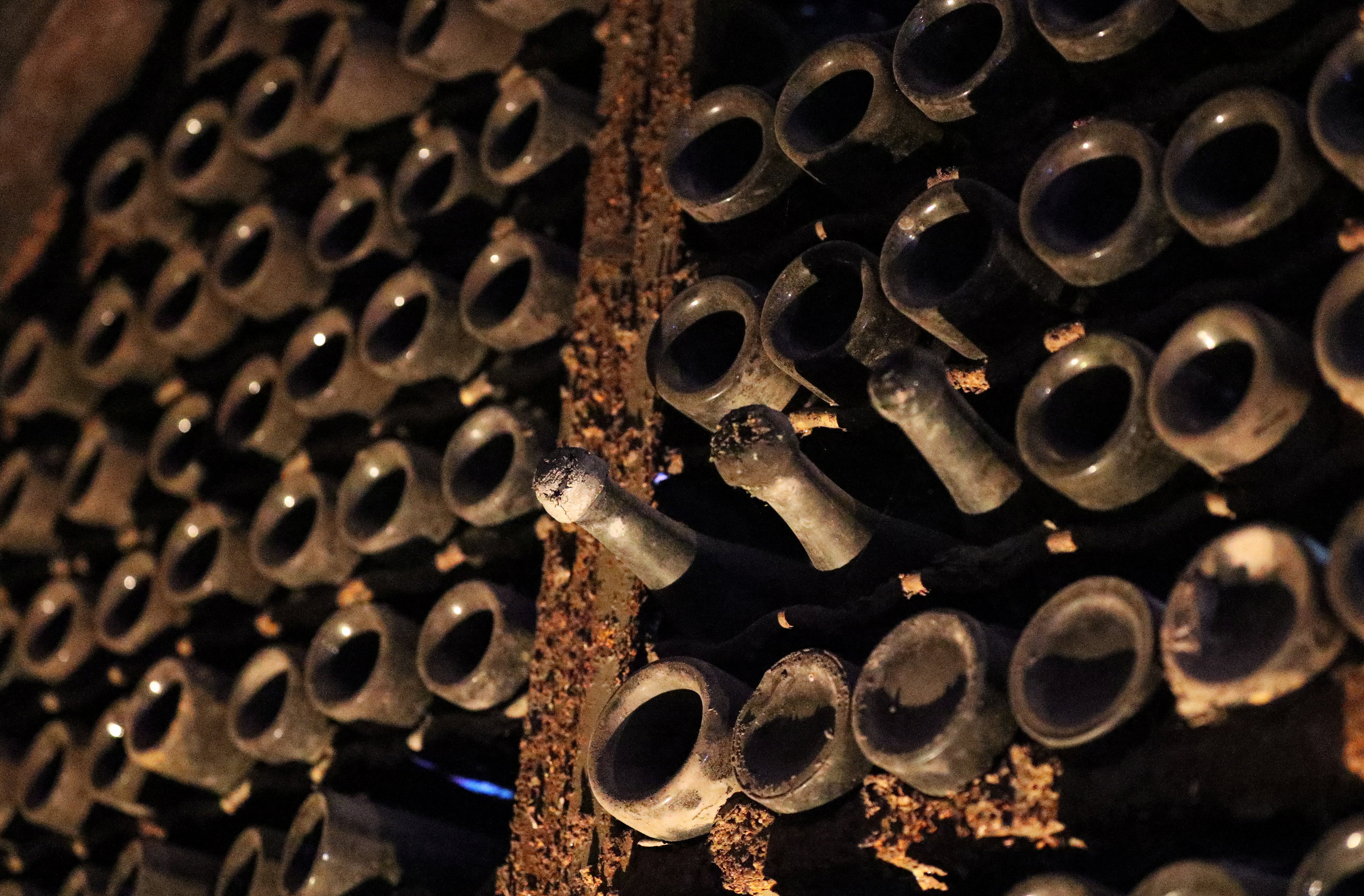 There are 40,000 bottles in the cellar