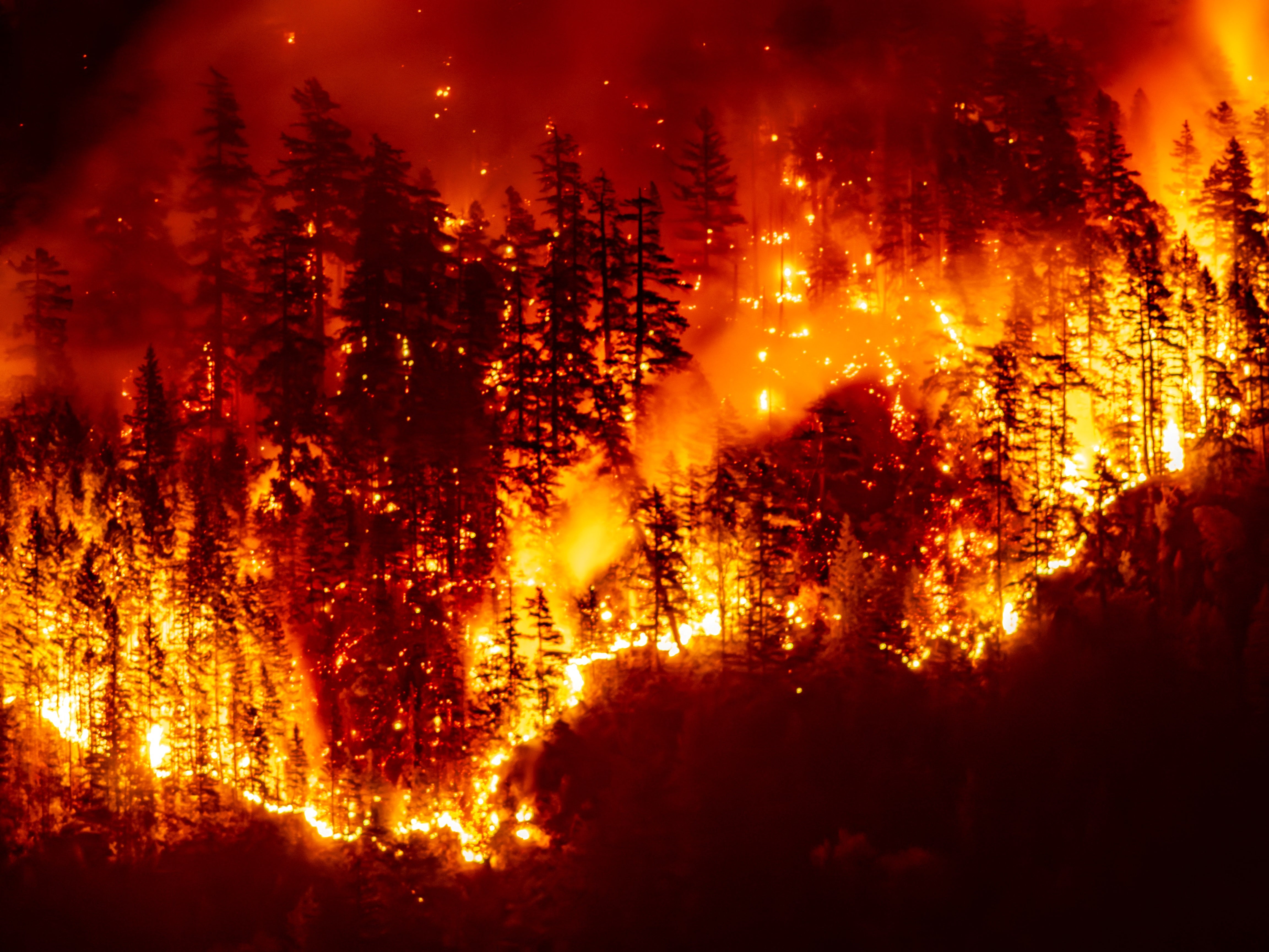 A wildfire burns on Mount Underwood near Port Alberni, on Vancouver Island, British Columbia