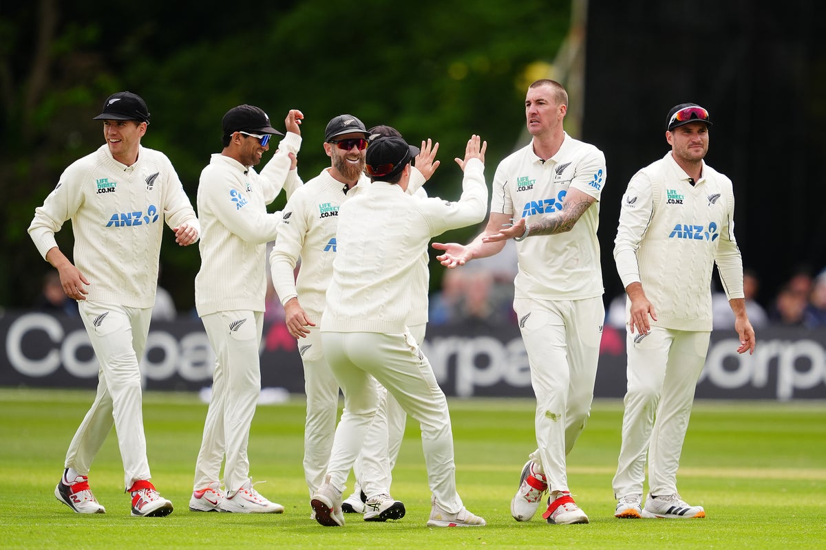 New Zealand wrap up rapid win over Ireland in perfect preparation for England series