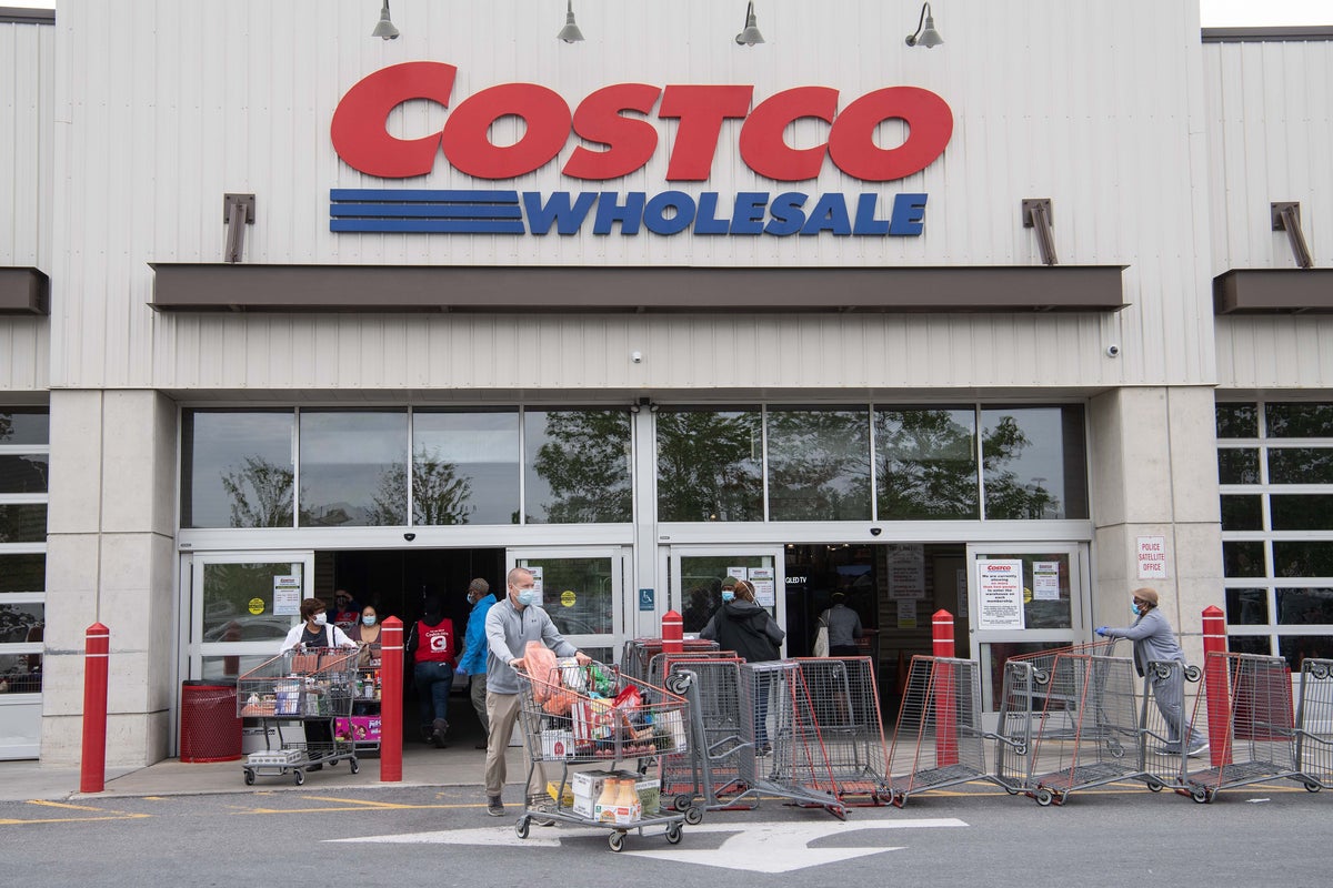 Costco puts California on high alert after damaging invasive species found on plants – UK Times Costco puts California on high alert after damaging invasive species found on plants – UK Times