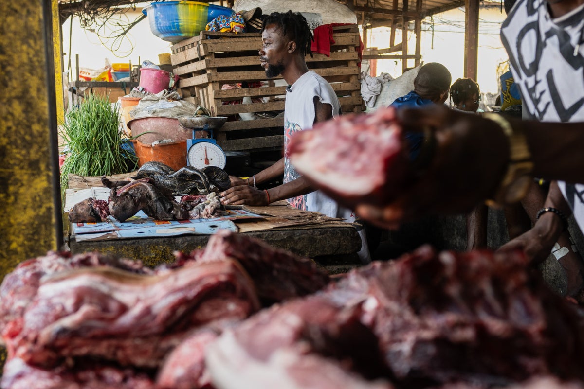 As Ebola scourges Congo, experts warn of link to the consumption of ‘wild meat’ – UK Times