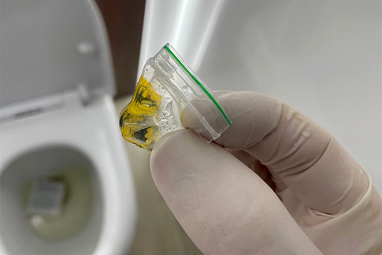 Cocaine detected in toilet at Cheltenham Festival
