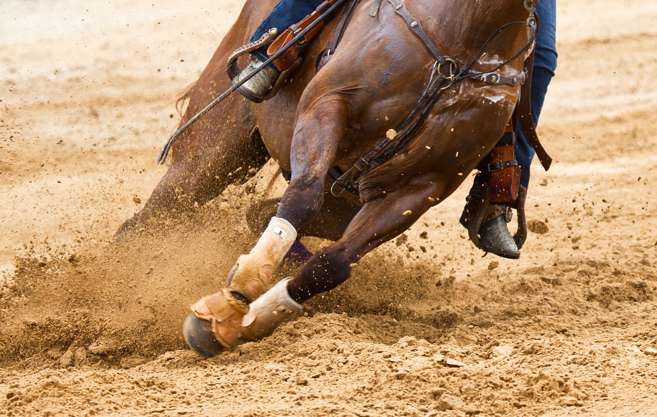 A teenage competitor has been arrested and accused of stabbing three horses at a Las Vegas barrel racing event this weekend, police said (file image)