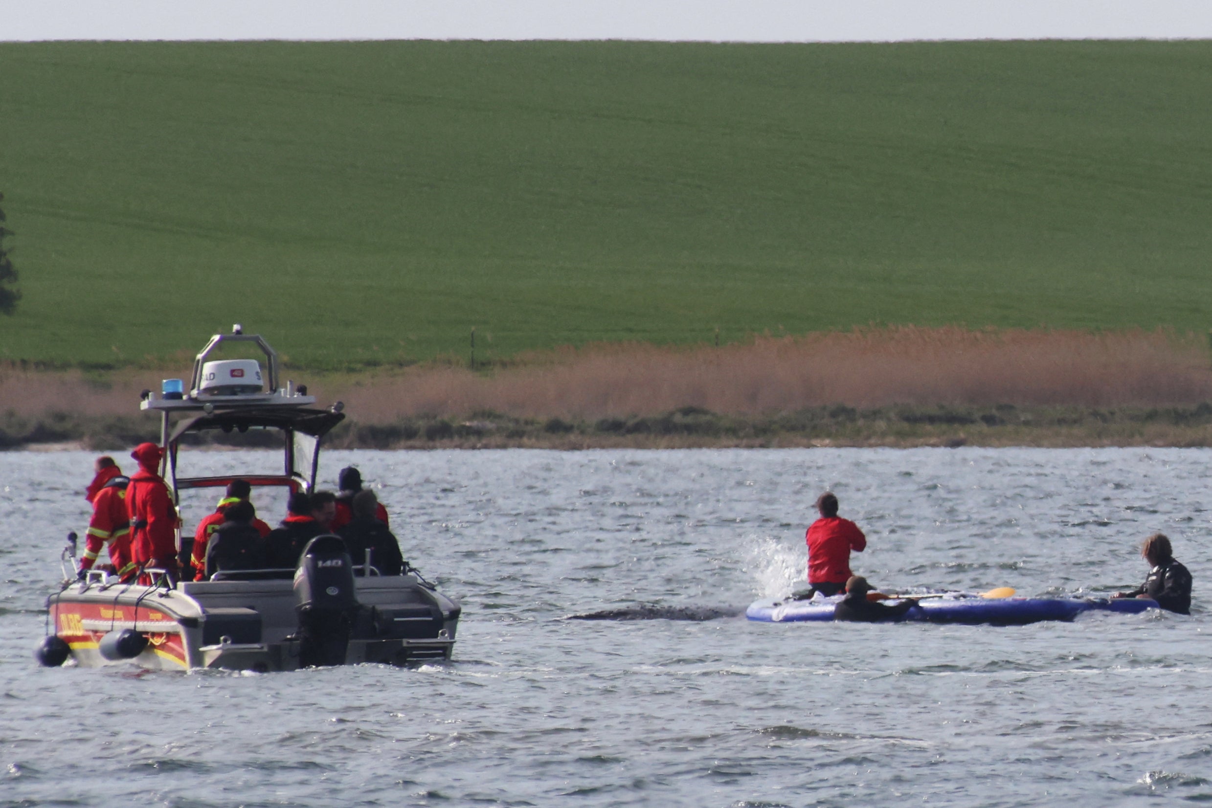 A rescue team assists Timmy in the Wismarer Bucht bay of the Baltic Sea off northern Germany on 27 April (AFP/Getty)