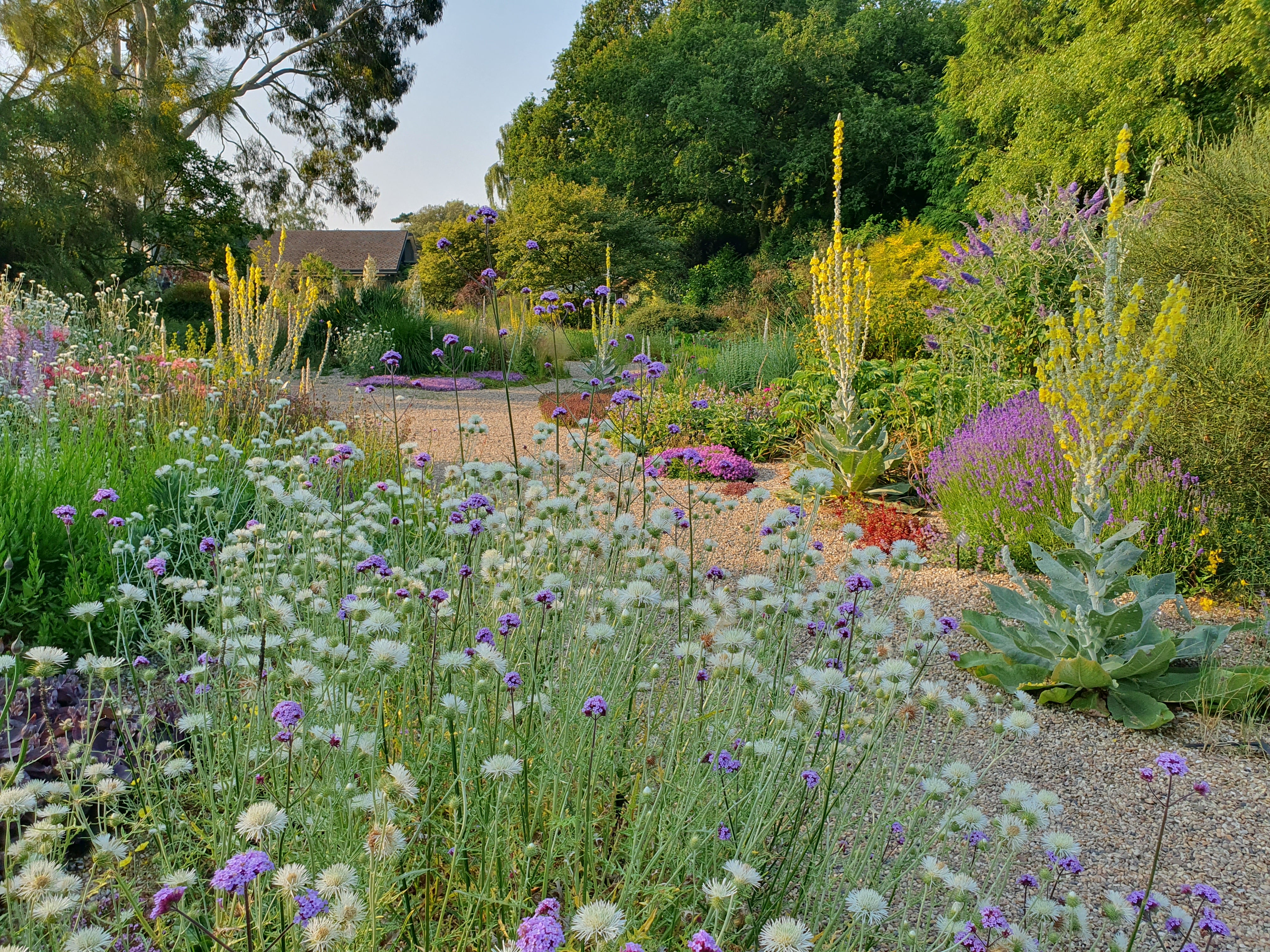 Beth Chatto created five distinct areas in the gardens