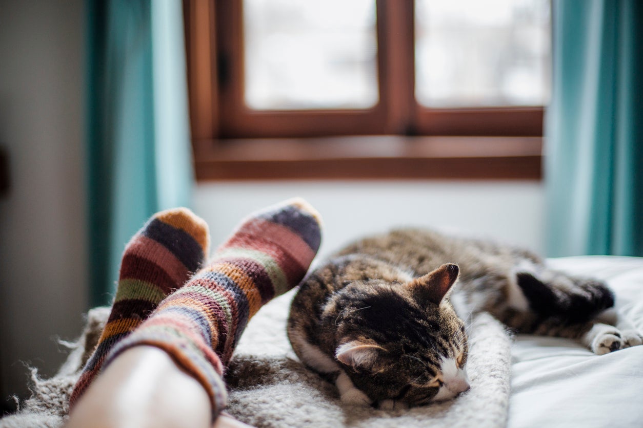 It probably isn’t realistic for most people to just stop co-sleeping with their pets. So, what should someone do to improve their sleep if they already share a bed with their pets?