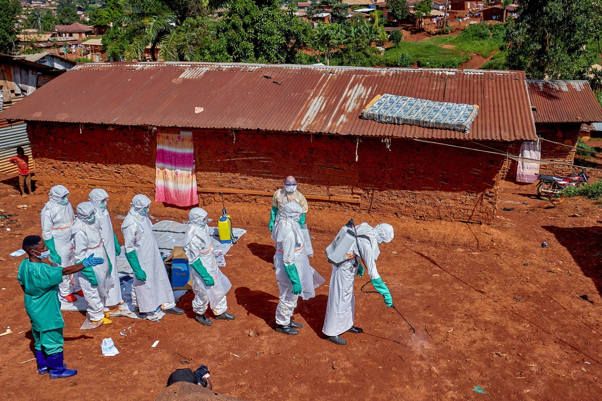 https://static.independent.co.uk/2026/06/01/16/2026-05-31T163205Z_1657008407_RC2RFLA30MP6_RTRMADP_3_HEALTH-EBOLA-BRAZIL.JPG?width=1200&height=800&crop=1200:800
