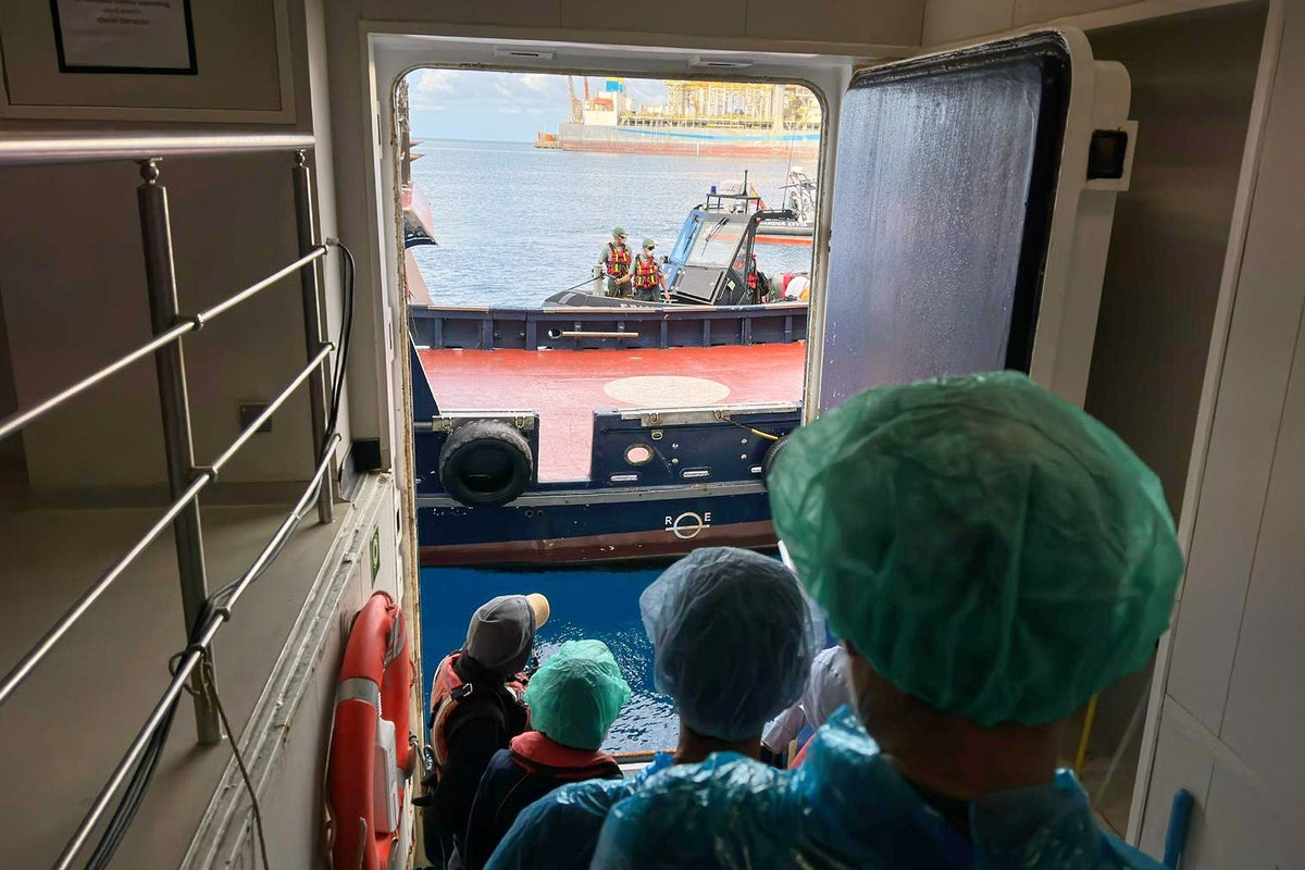 A cruise ship outbreak made the hantavirus famous. Scientists want to use this fame