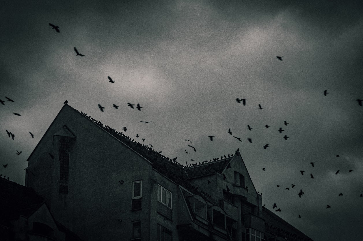 Why some people are more likely to experience paranormal activity, according to an expert