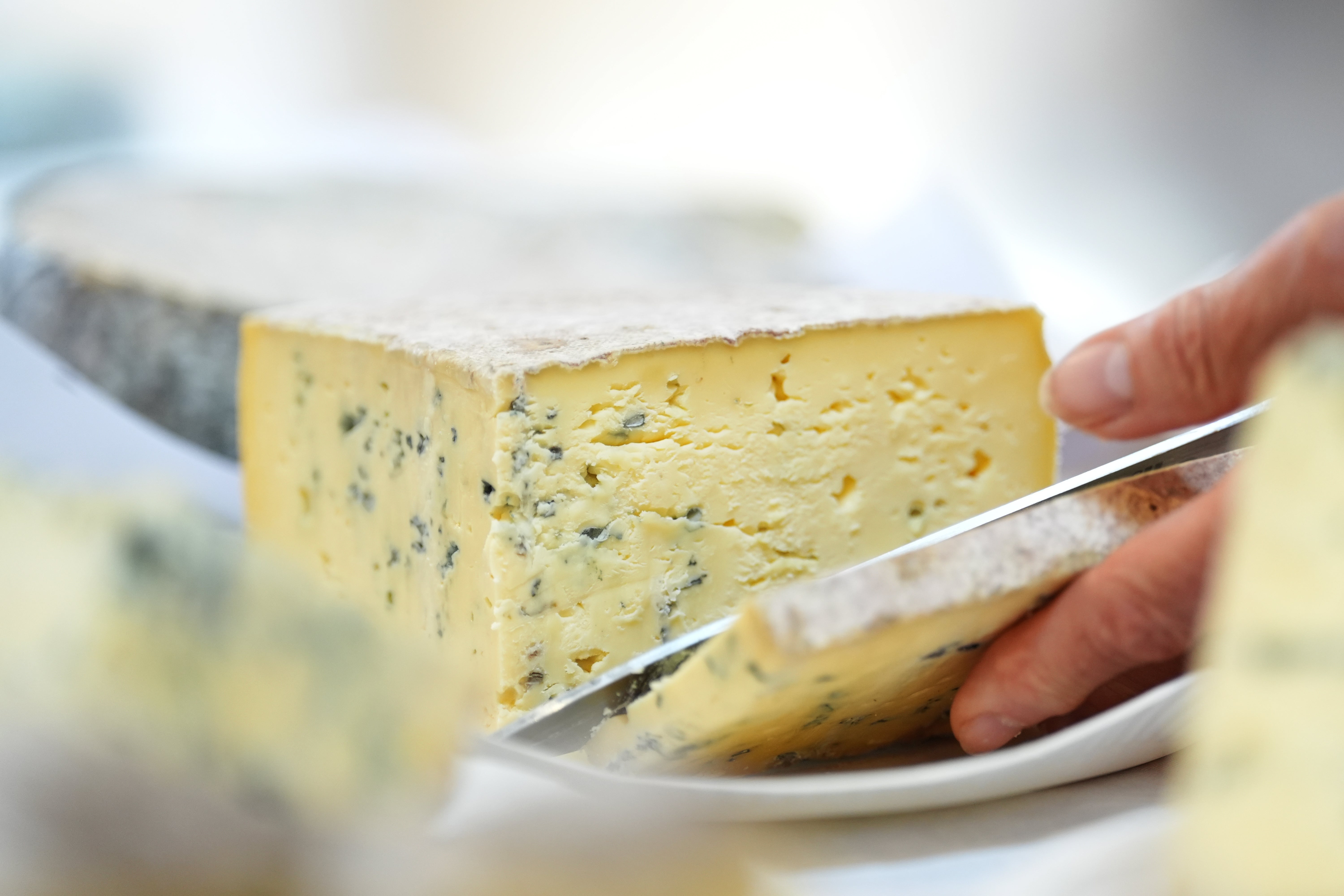 <p>Una nueva encuesta revela que el queso domina la dieta de EE. UU. y gana terreno como fuente de proteínas  </p>