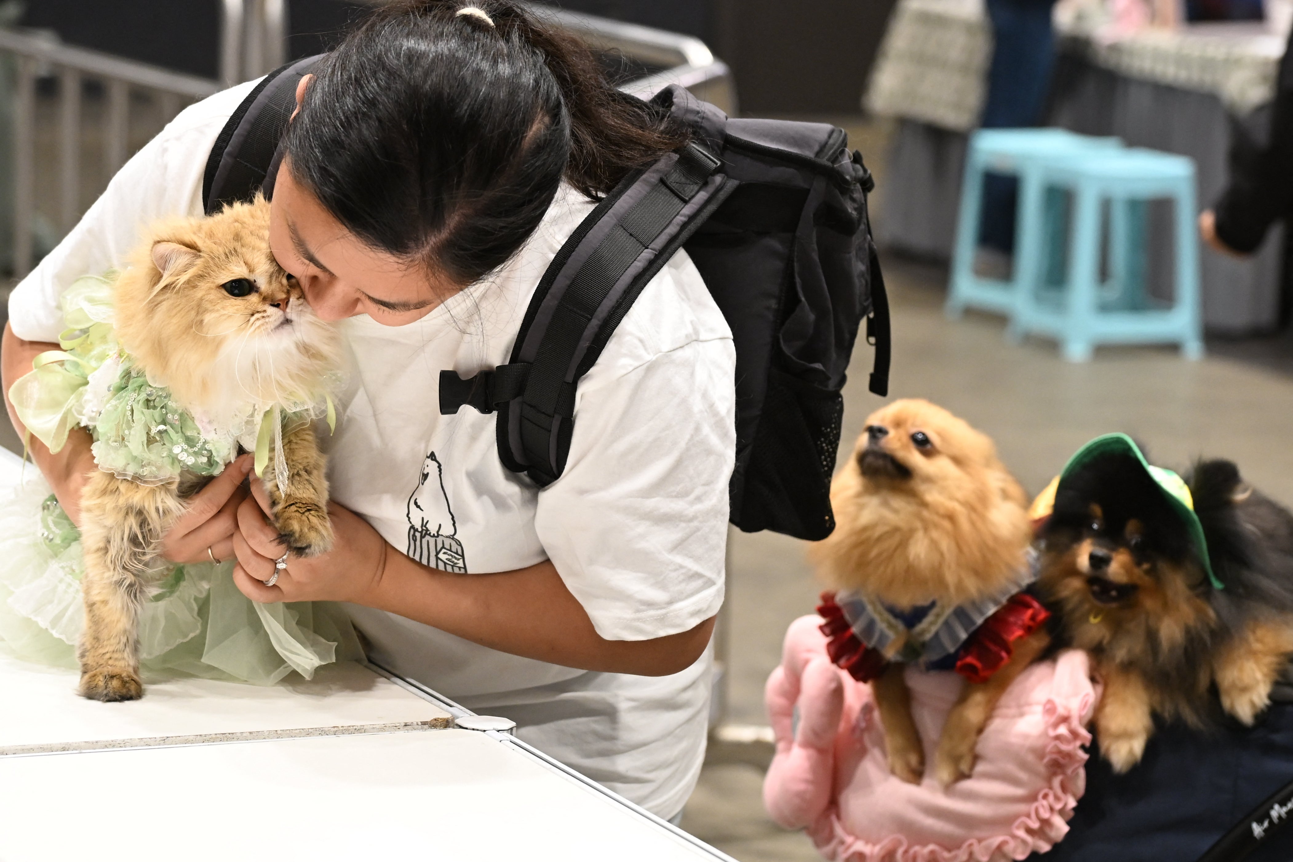 File image: Visitors carry their cats and dogs around the Hong Kong Pet Show 2026 at the Convention and Exhibition Centre in Hong Kong (AFP/Getty)