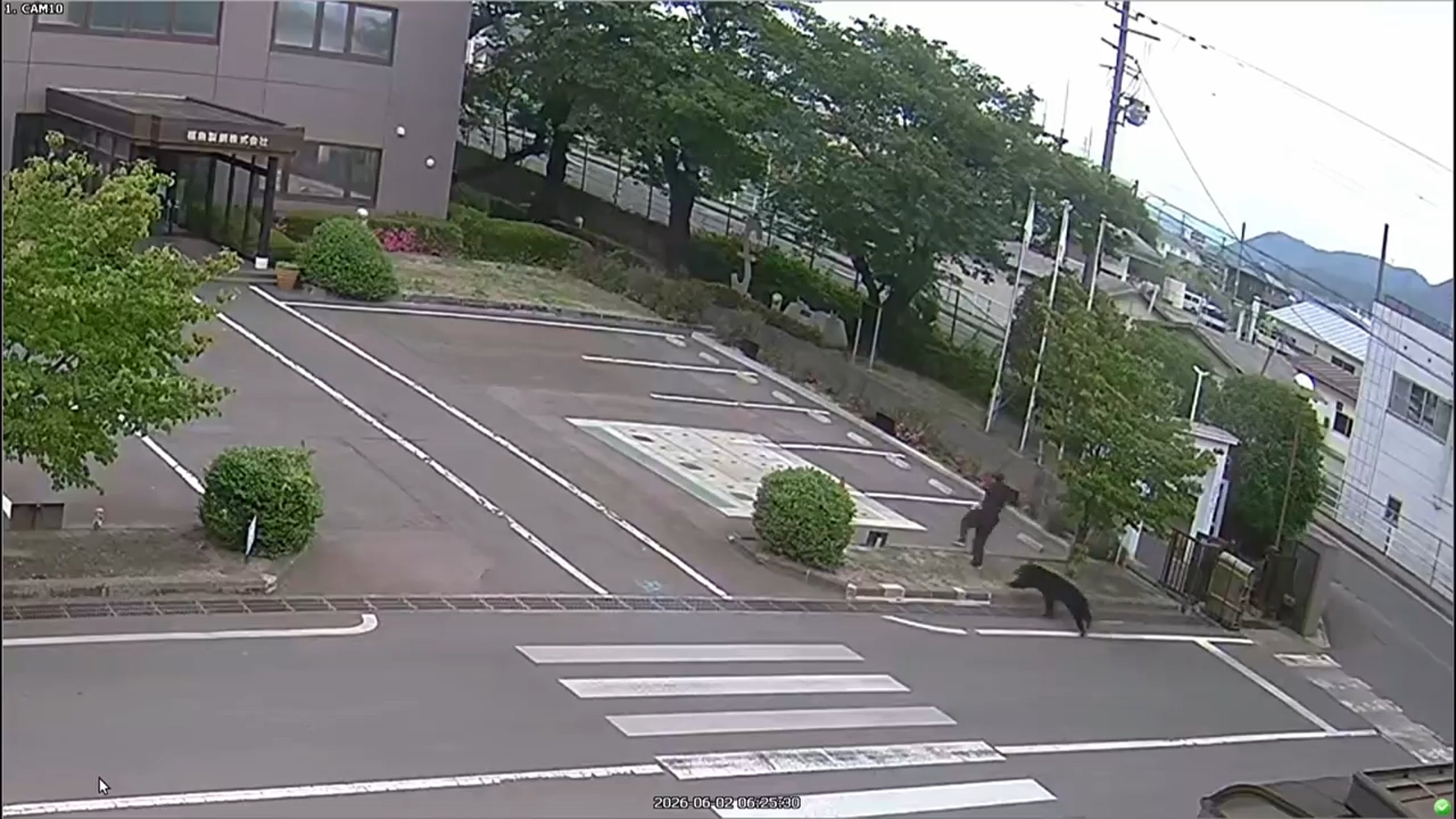 Japan Bear Attack