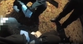 ‘I can’t breathe’: Harrowing bodycam footage shows moment police dismiss Henry Nowak’s stabbing claim