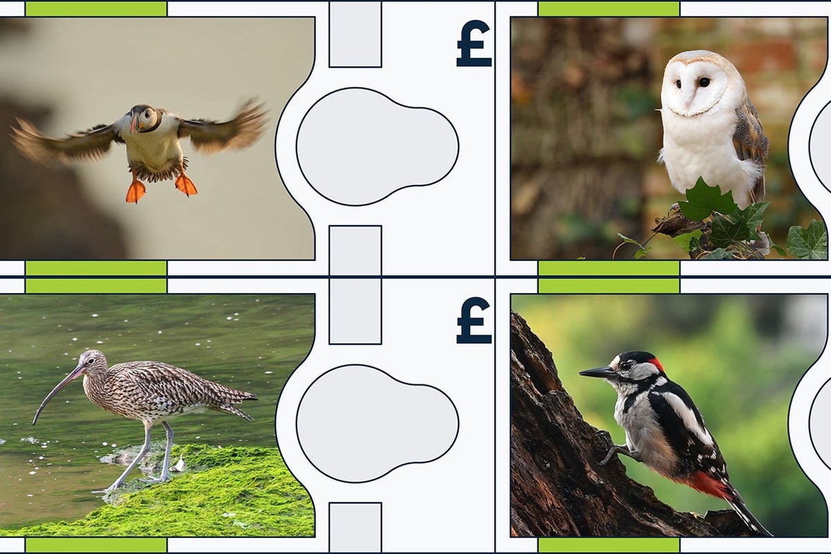 Bank of England Launches Consultation on Replacing Historical Figures with UK Animals on Next Banknote Series