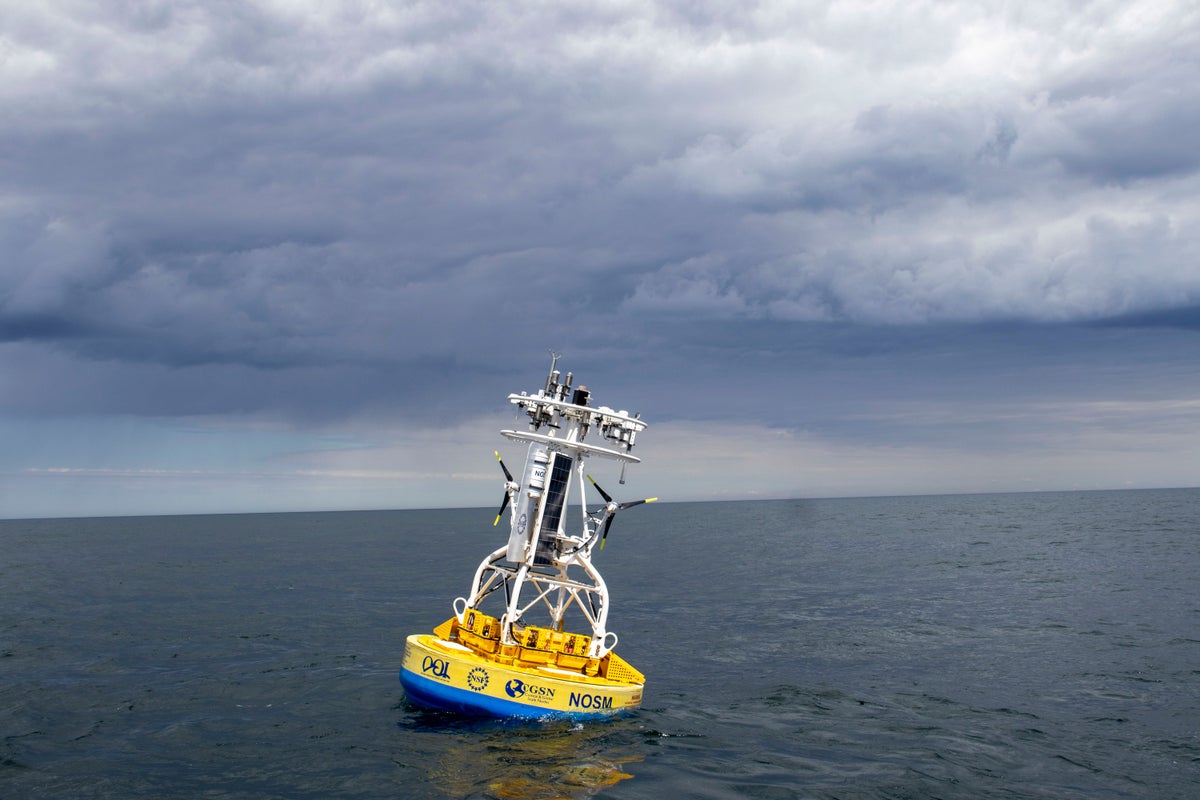 Scientists lose critical climate record as ocean observatory will go dark under Trump funding cuts – UK Times