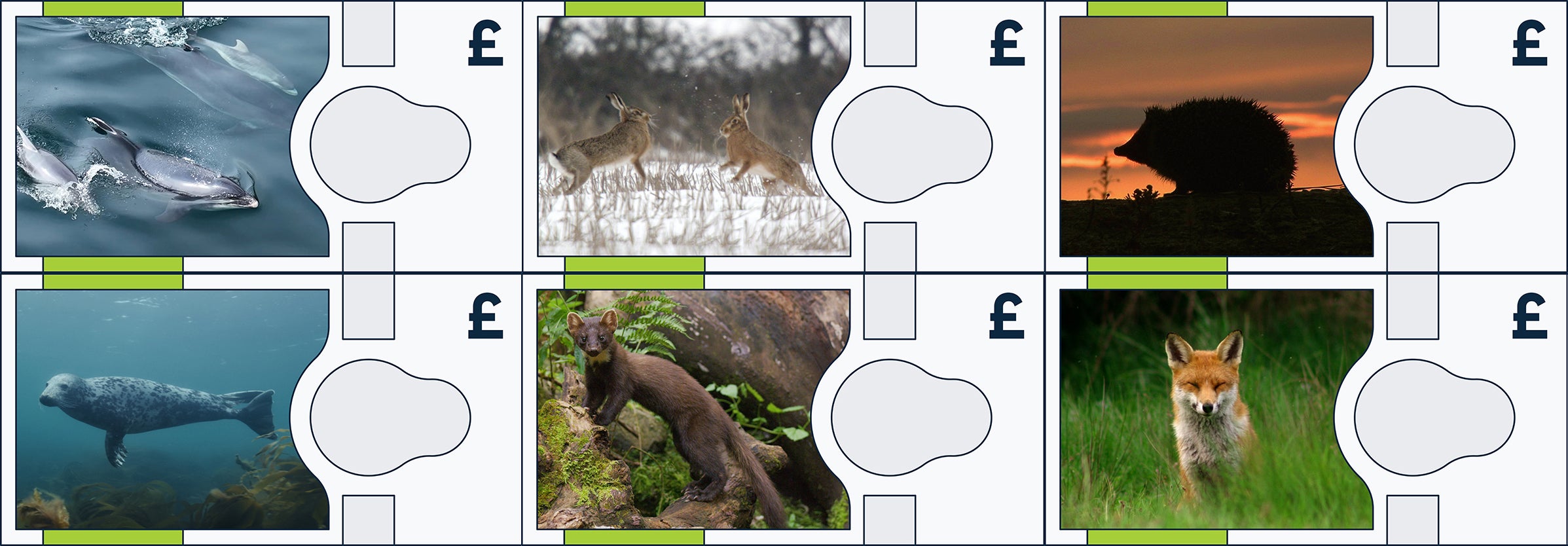 (Bank of England/PA)