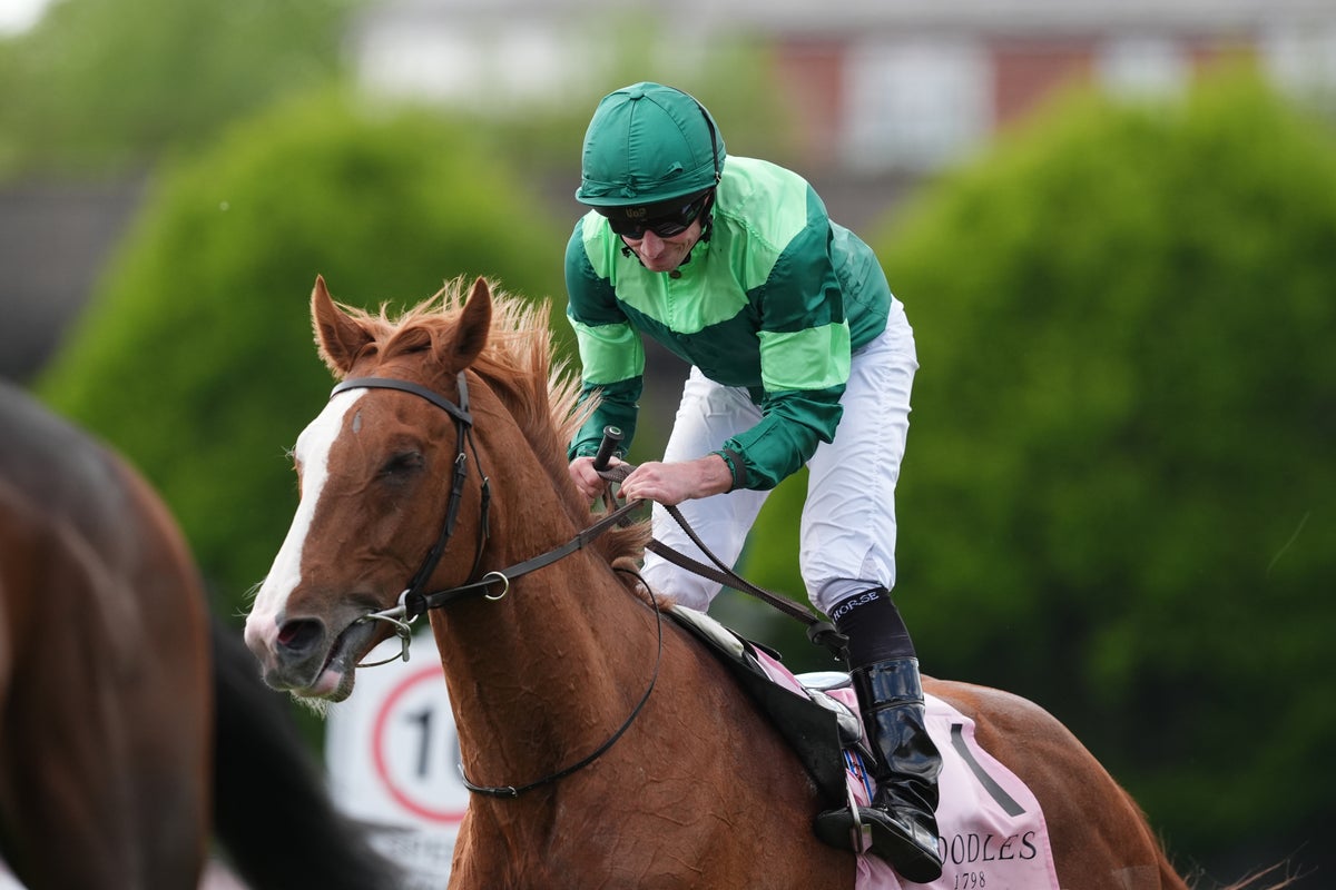 Benvenuto Cellini leads four-strong Aidan O&rsquo;Brien team for Derby