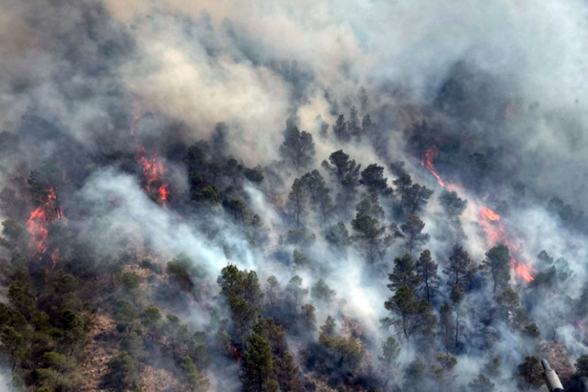 Spanish town faces ‘65ft flames’ during massive wildfire in holiday hotspo – UK Times Spanish town faces ‘65ft flames’ during massive wildfire in holiday hotspo – UK Times