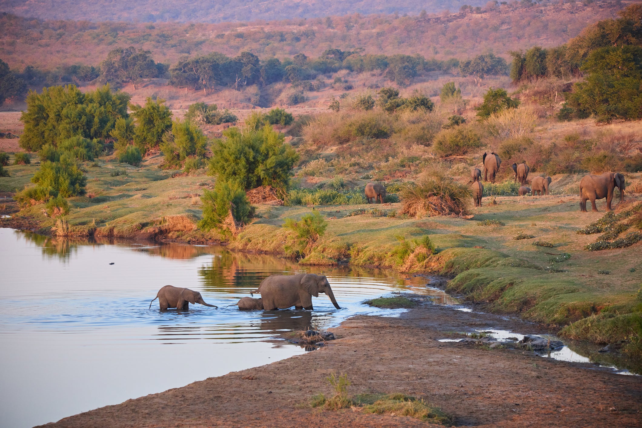 The Kruger National Park offers opportunities for tourists to spot the Big Five