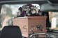 Human composting and water cremation could be introduced in England and Wales