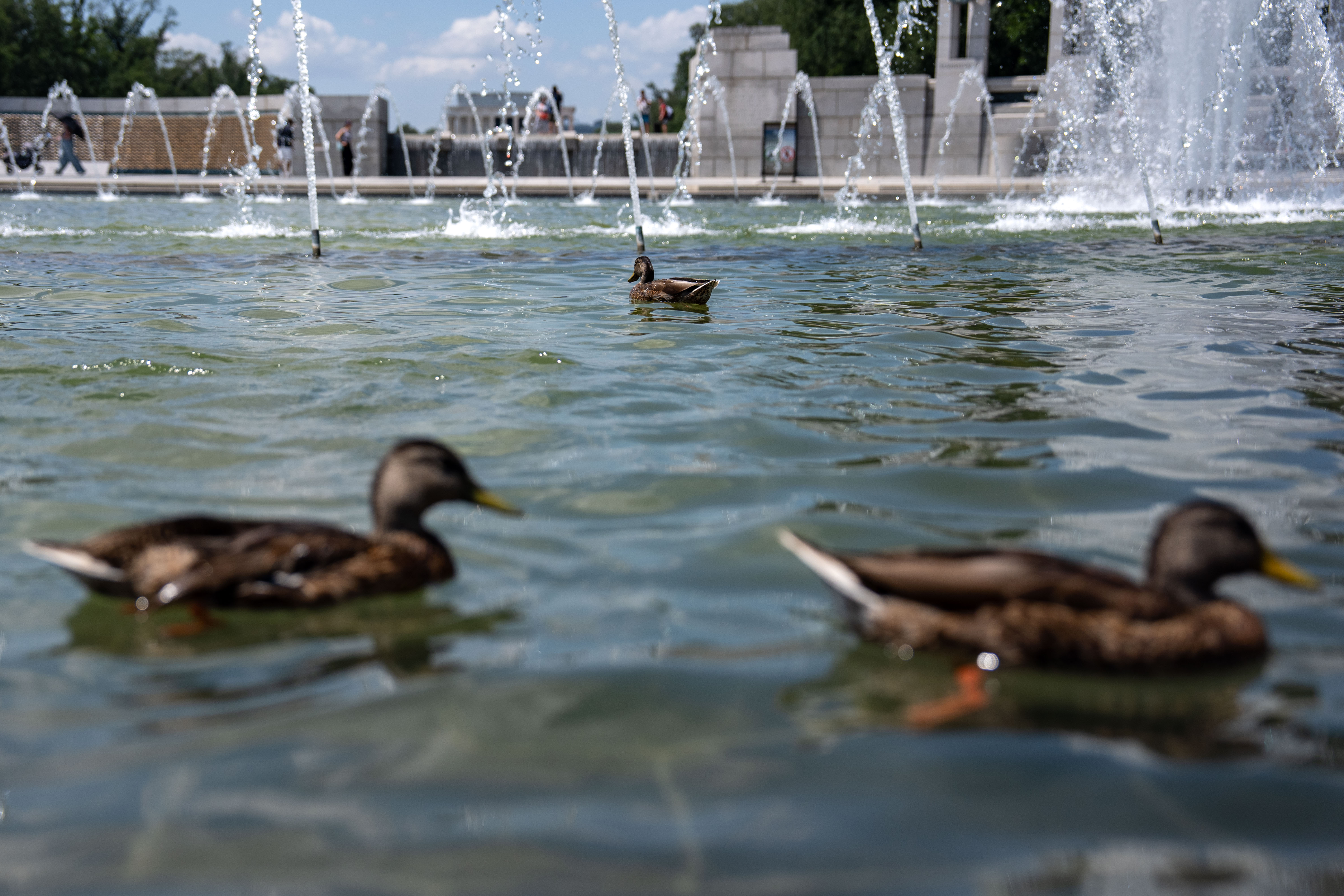 Fountains on the National Mall, like the one seen here  at the World War II memorial, are reportedly being refurbished with $47 million in  money from national park entry fees (Getty)