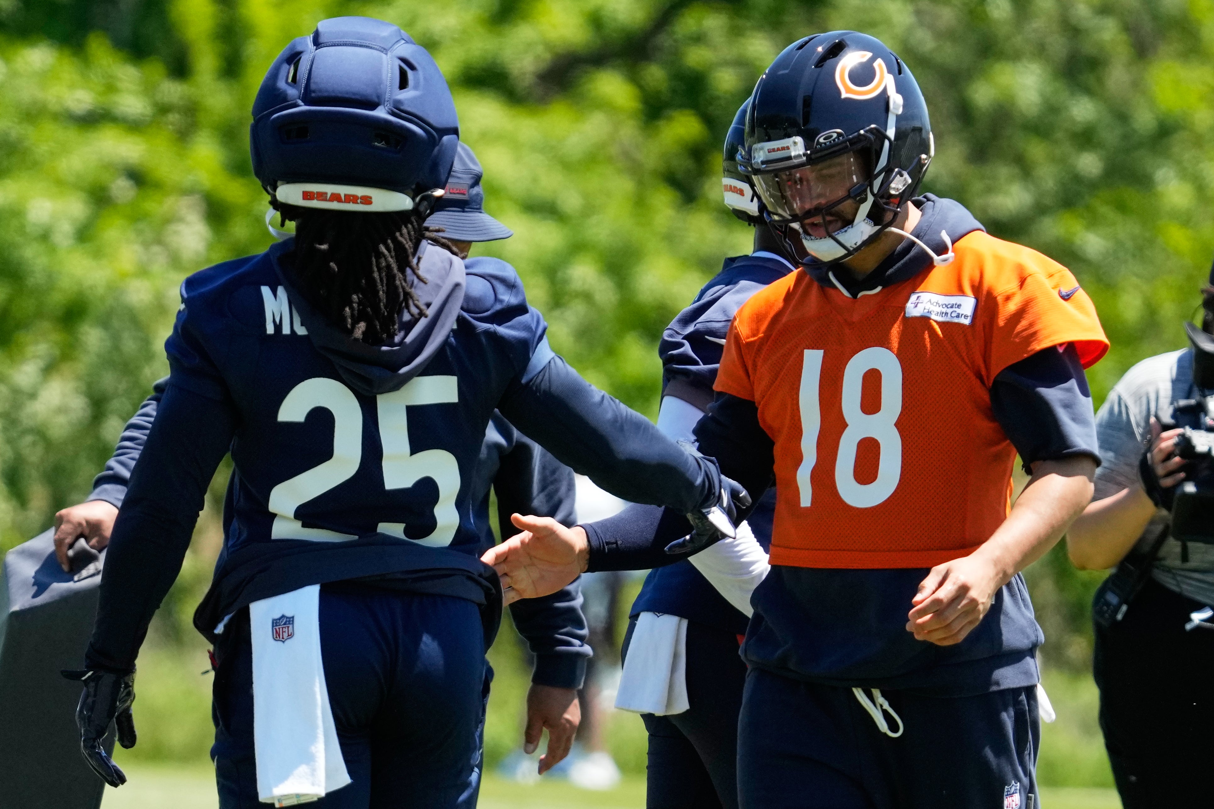 Bears Football