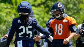 Bears Football
