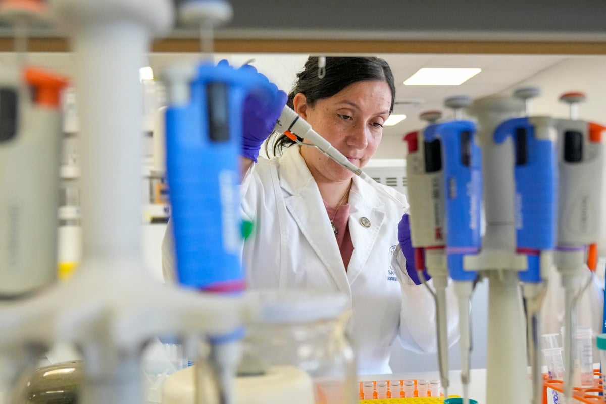 Tools to fight hantavirus show promise despite limited funding. Now researchers hope to continue – UK Times