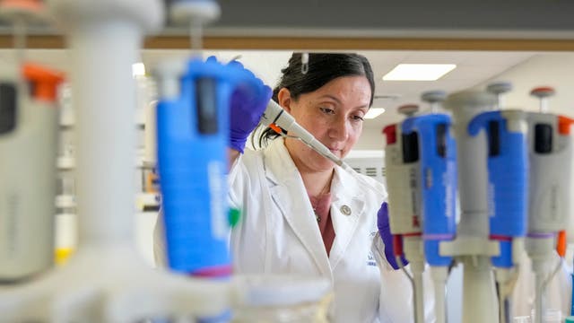 Chile Hantavirus Research